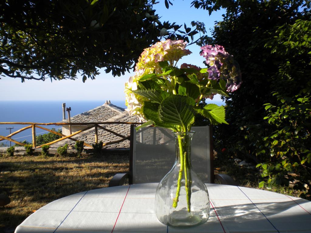 Marelmy Villa Mouresi Bagian luar foto